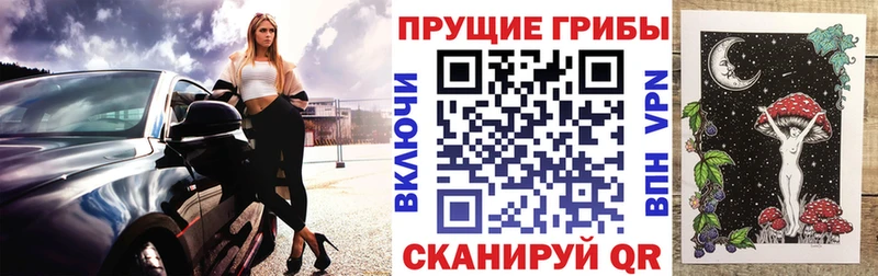 Галлюциногенные грибы ЛСД  где купить   Арзамас 